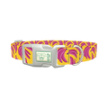 Fruit Banana Dog Collar - plastic silver