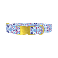 Color Splash Tie-Dye Dog Collar - metal gold