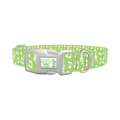 Lime Musical Note Dog Collar - plastic silver