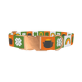 Rainbow Luck Dog Collar - metal rose gold
