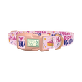 Birthday Cake Celebration Dog Collar - plastic rose gold