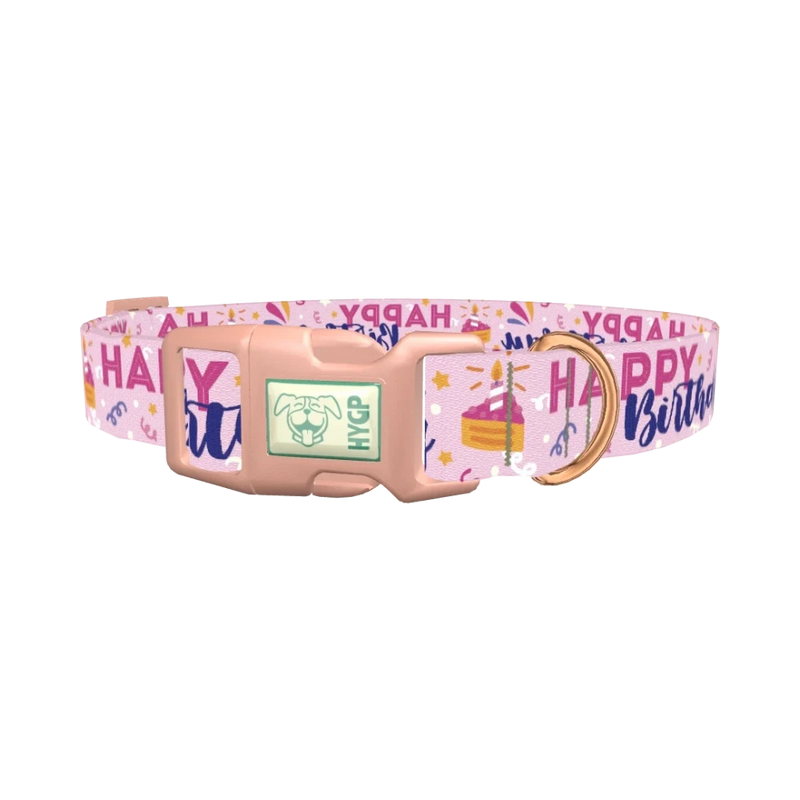 Birthday Cake Celebration Dog Collar - plastic rose gold