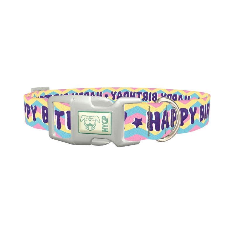 Birthday Chevron Dog Collar - plastic silver
