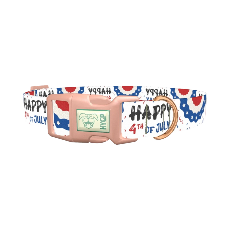 Patriotic 4th of July Dog Collar - plastic rose gold
