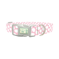 Pink Easter Egg Pattern Dog Collar - plastic silver