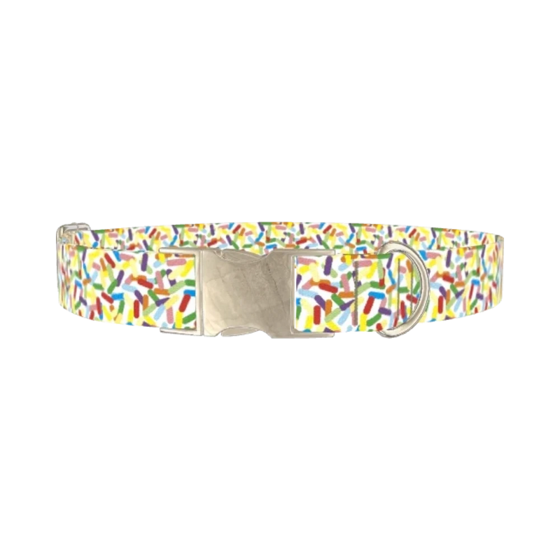 Confetti Pattern Dog Collar - metal silver