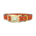 Retro Arrow Stripe Dog Collar - plastic gold