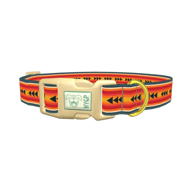 Retro Arrow Stripe Dog Collar - plastic gold