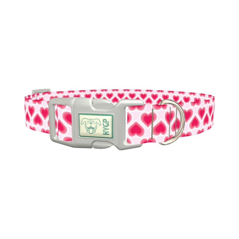Pink Radiant Heart Dog Collar - plastic silver