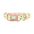 Cowboy Western Heart Dog Collar - plastic rose gold