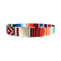 Mexican Stripe Pattern Dog Collar - metal silver