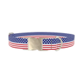 Patriotic Stars Dog Collar - metal silver