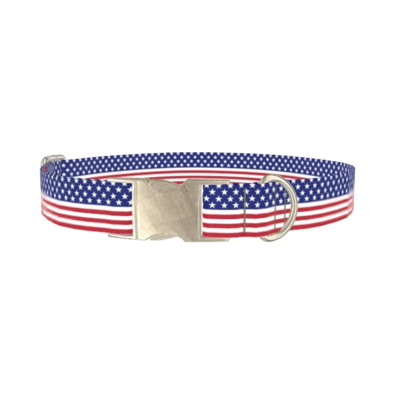 Patriotic Stars Dog Collar - metal silver