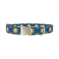 Conch Shell Sunburst Dog Collar - metal silver
