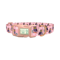Floral Owl Dog Collar - plastic rose gold