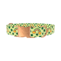 Leprechaun Rainbow Dog Collar - metal silver