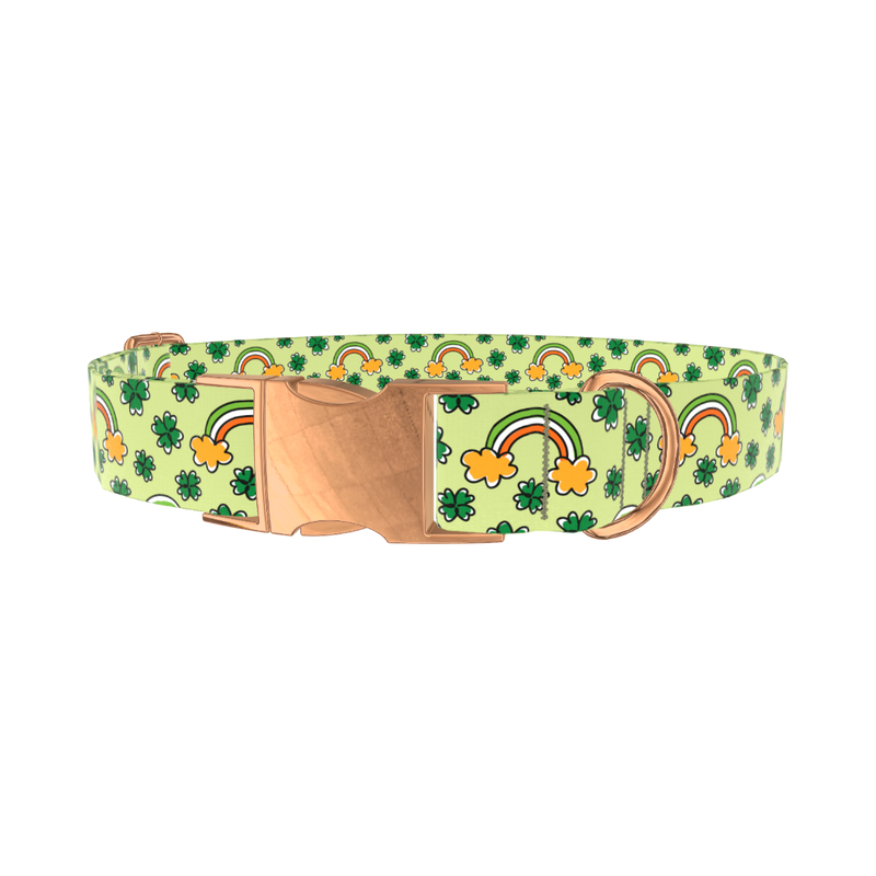 Leprechaun Rainbow Dog Collar - metal silver