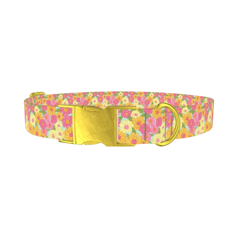 Floral Gerberas Dog Collar - metal gold