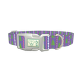 Christmas Tree Stripes Dog Collar - plastic silver