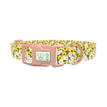 White and Yellow Daisy Dog Collar - plastic rose gold