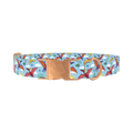 Dinosaur Adventure Dog Collar - metal rose gold