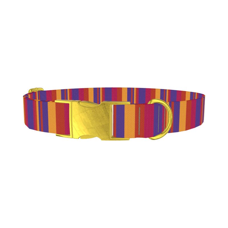 Hexagon Stripe Dog Collar - metal gold