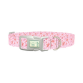 Floral Watercolor Dog Collar - plastic silver