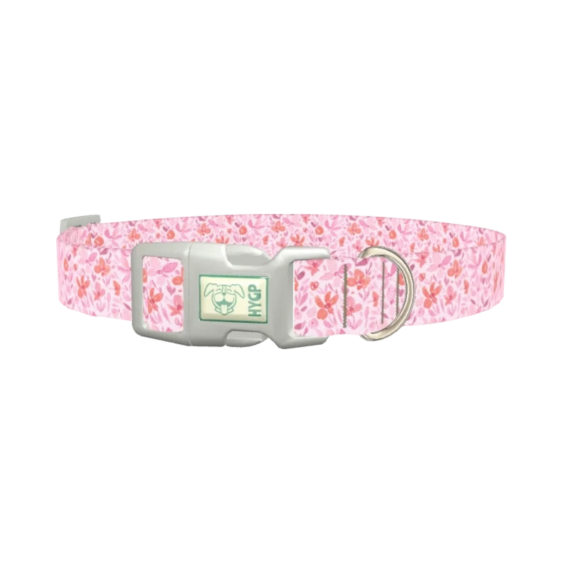 Floral Watercolor Dog Collar - plastic silver