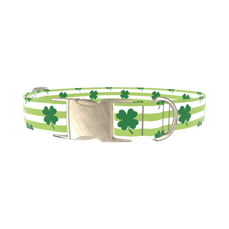 Clover Stripe Dog Collar - metal gold