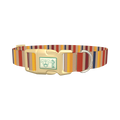 Hexagonal Stripe Dog Collar - plastic gold