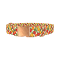 Red Yellow Tulip Pattern Dog Collar - metal rose gold