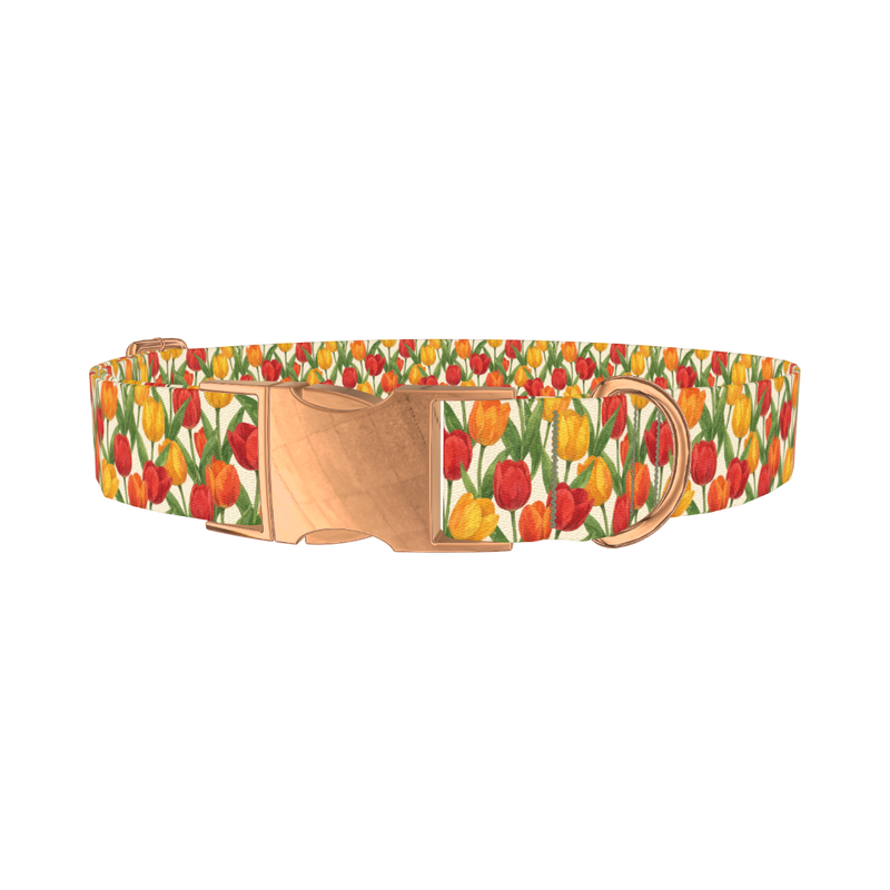 Red Yellow Tulip Pattern Dog Collar - metal rose gold