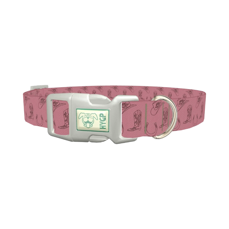 Western Cowboy Dog Collar - plastic silver