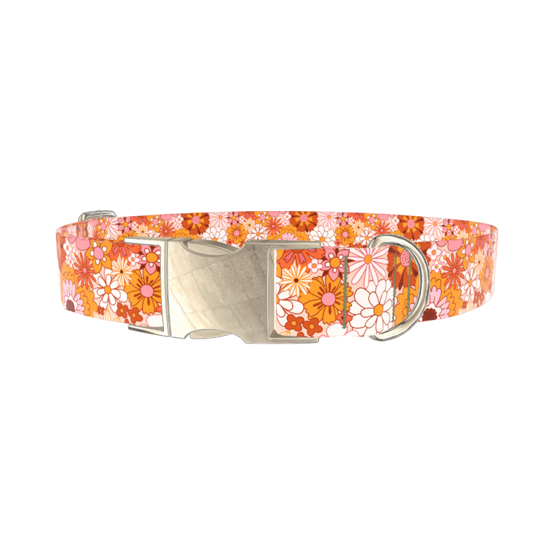 Retro Flower Burst Dog Collar - metal silver