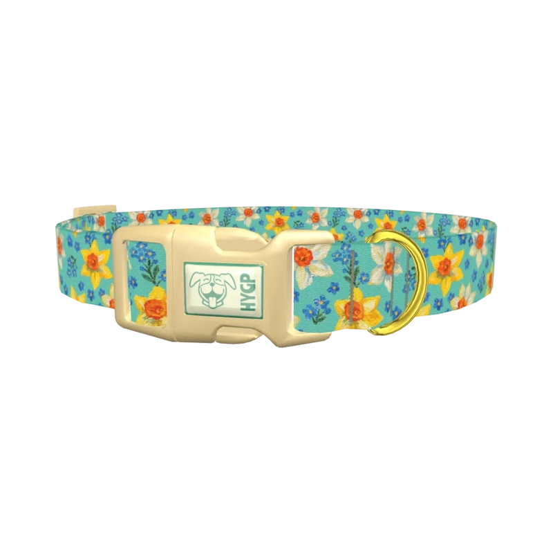 Floral Narcissus Dog Collar - plastic gold