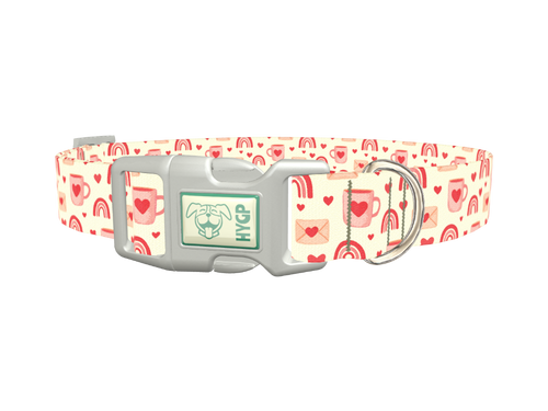 Valentine Mug and Envelope Dog Collar