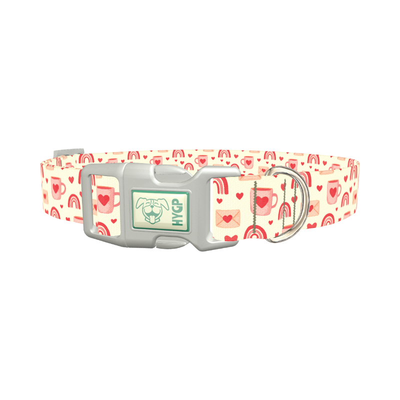 Valentine Mug and Envelope Dog Collar - plastic silver