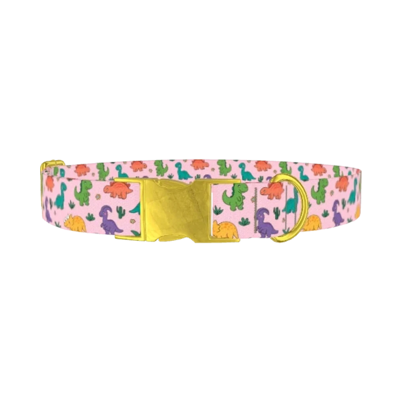 Dinosaur Mix Dog Collar - metal gold