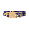 Purple Football Trophy Dog Collar - plastic gold
