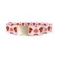 Turkey Pumpkin Pattern Dog Collar - metal silver