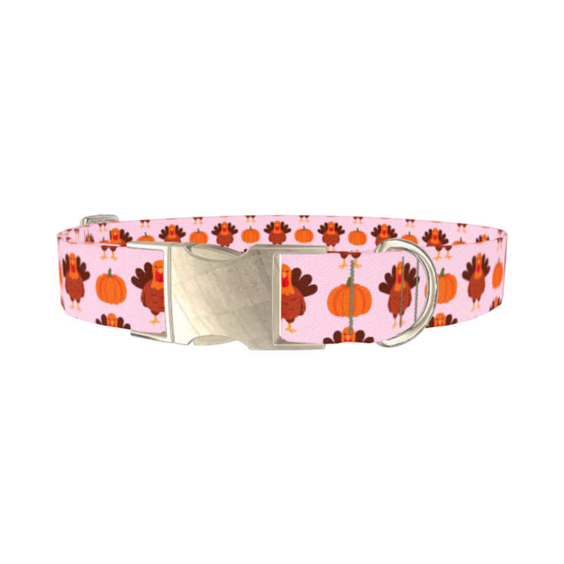 Turkey Pumpkin Pattern Dog Collar - metal silver