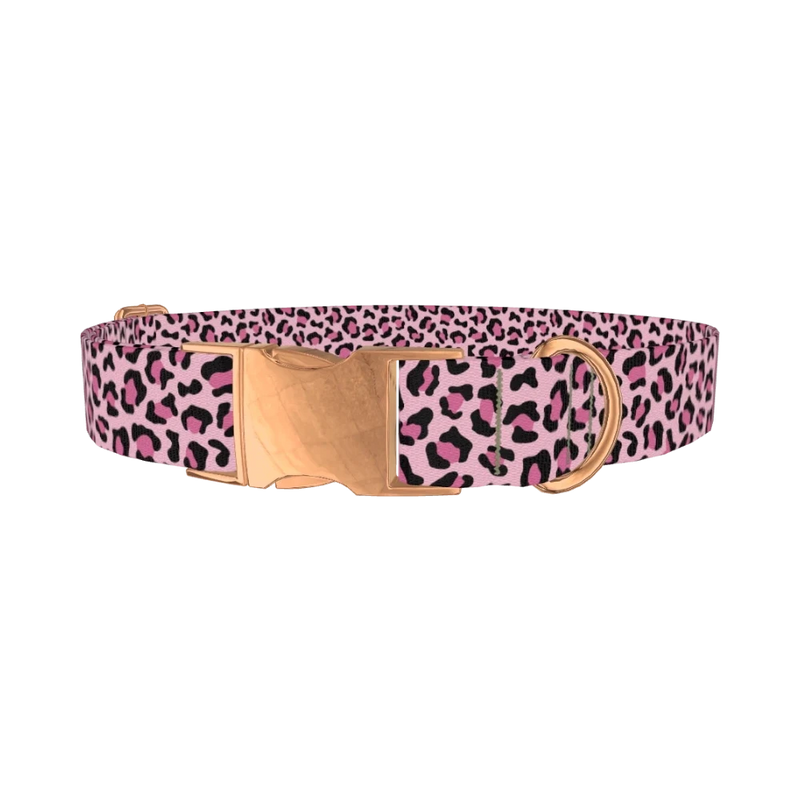 Pink Leopard Pattern Dog Collar - metal rose gold