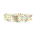 Birthday Boy Celebration Dog Collar - metal silver