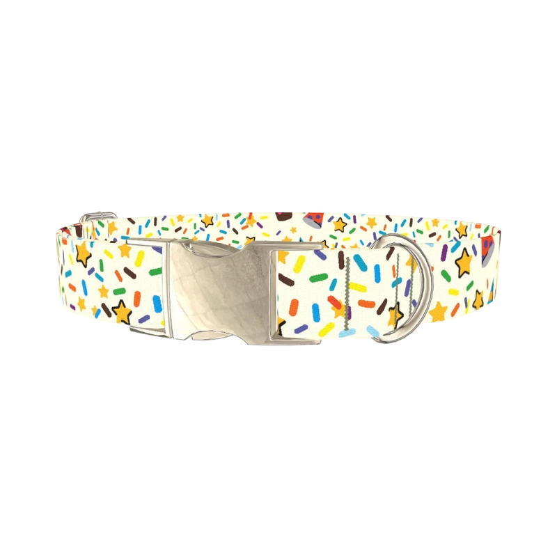 Birthday Boy Celebration Dog Collar - metal silver
