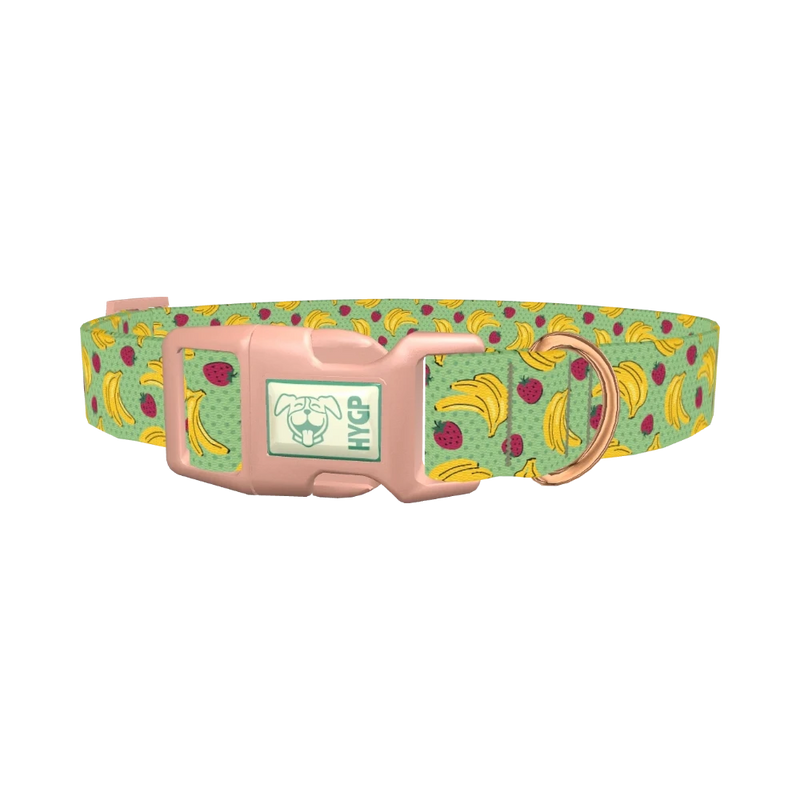 Fruit Pattern Dog Collar - plastic rose gold