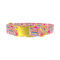 Colorful Mushroom Field Dog Collar - metal gold