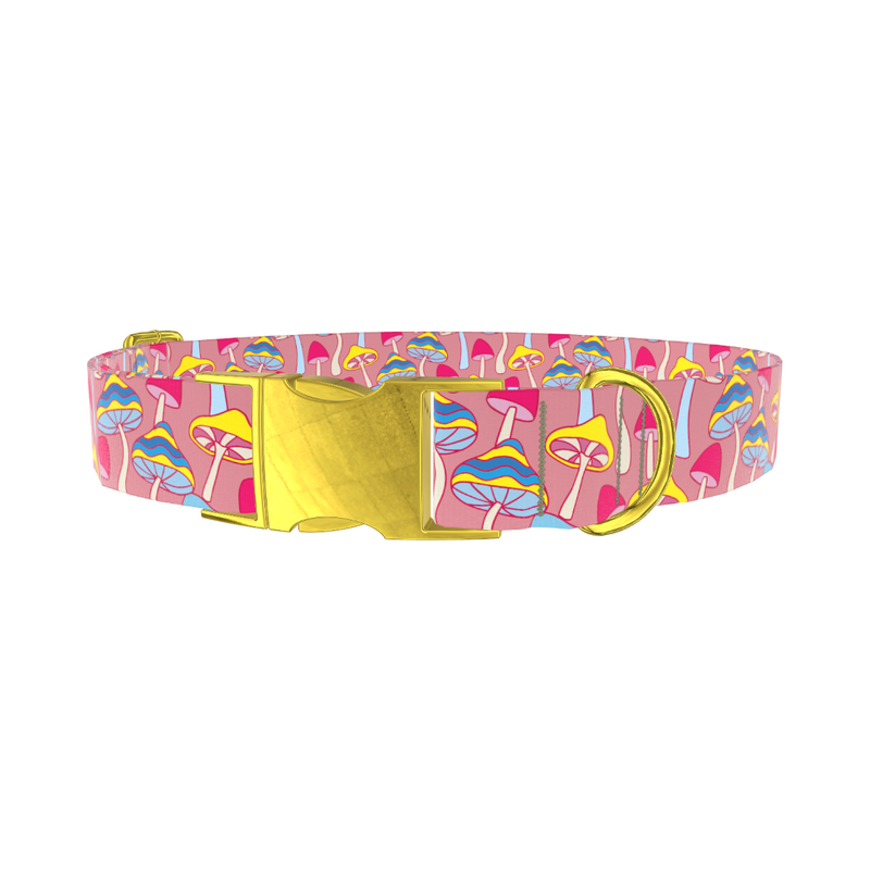 Colorful Mushroom Field Dog Collar - metal gold