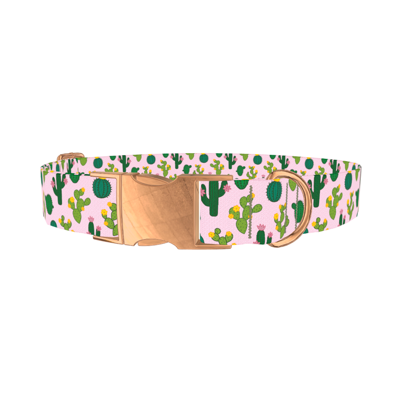 Floral Cactus Dog Collar - metal rose gold