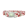 Red Pink Tulip Dog Collar - plastic silver