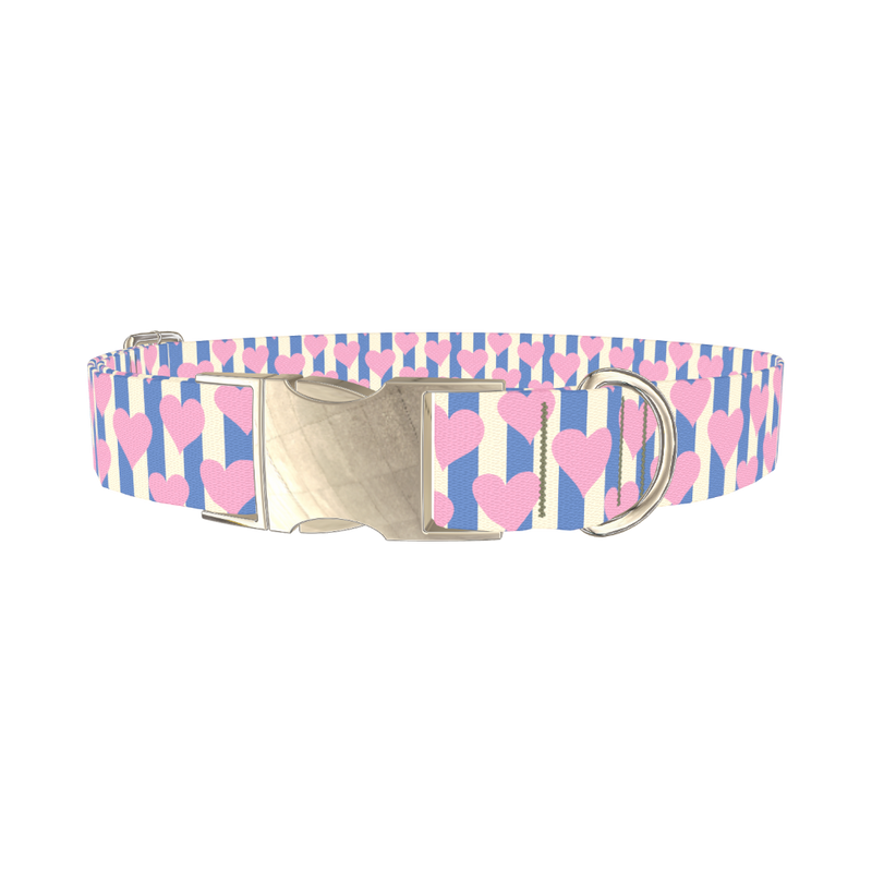 Heart Stripes Dog Collar - metal silver
